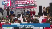 Concierto por la Paz. Canal N