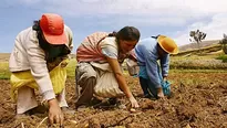 Ministerio de Agricultura sobre inyección económica. Video: Canal N / Foto: El Peruano