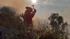 Incendio se produjo cerca a la Fortaleza  de Kuélap. Foto: ANDINA