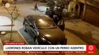 Ladrones roban auto con mascota adentro en San Martín de Porres
