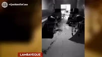 Un video registró uno de los ambientes del hospital. Foto y video: América Noticias