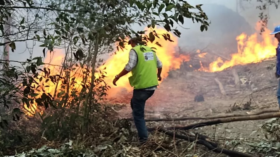 Incendios forestales. Foto referencial: Andina