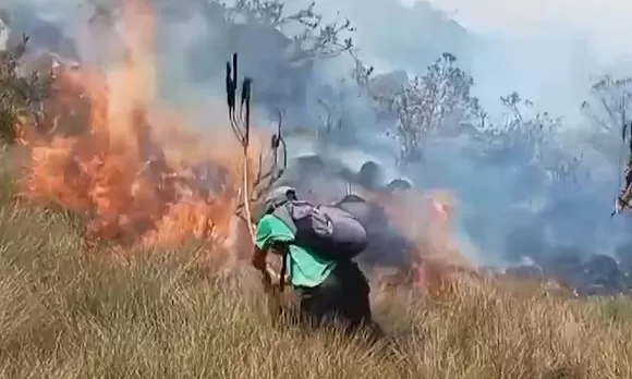 Lambayeque: Piden emergencia por incendios forestales