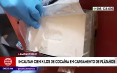 Lambayeque: Incautan cien kilos de cocaína en cargamento de plátanos - Noticias de produce