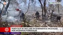 Piden estado de emergencia en Lambayeque por incendios forestales. Foto y video: América Noticias