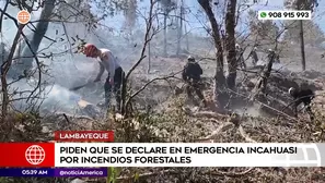 Piden estado de emergencia en Lambayeque por incendios forestales. Foto y video: América Noticias