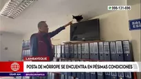 América Noticias