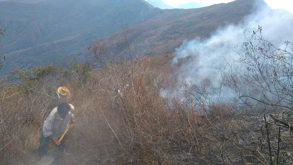 Incendio forestal en Lambayeque. Foto: Referencial/diariocorreo.pe