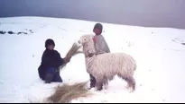 Ayuda para damnificados por heladas y nevadas. Foto: Referencial/Agencia Andina