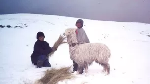 Ayuda para damnificados por heladas y nevadas. Foto: Referencial/Agencia Andina