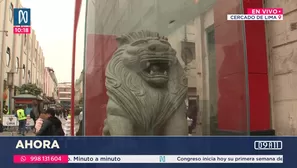 Leones chinos se encuentran bajo vitrina tras daño de sus colmillos