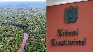 Foto y video: Canal N