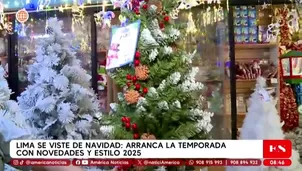 Campaña navideña 2025 inicia con ofertas y estilos en Lima. Foto y video: América TV
