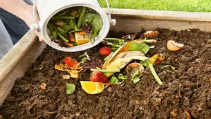 Compost o abono orgánico. Foto: Plantas.facilisimo.com