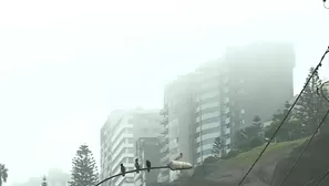 Lima vivió su día más frío del año. Foto y video: Canal N