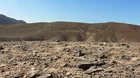 Líneas de Nasca: descubren geoglifo en forma de ballena