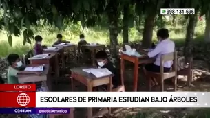 Escolares estudiando bajo árbol. América Noticias