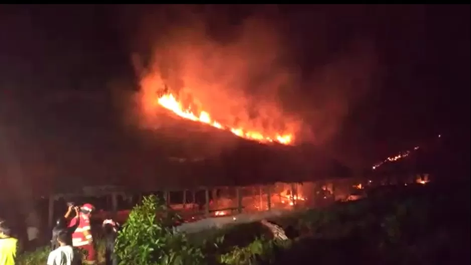 Incendio consumió galpones de pollos. Foto: América Noticias