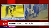 Hombre robó caballo en Lurín. Foto y video: América Noticias