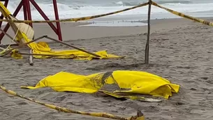 El joven llegó al balneario al mediodía junto a sus amigos. / Video: Canal N