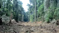 Indígenas denuncian construcción ilegal de carretera en reserva de Madre de Dios. Foto: Denamad