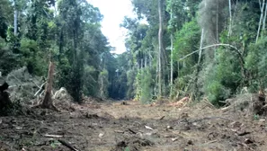 Indígenas denuncian construcción ilegal de carretera en reserva de Madre de Dios. Foto: Denamad