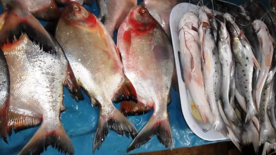 Pescados fueron prohibidos por riesgo de contaminación. Foto: Flickr @luisf1