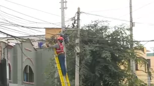 La Municipalidad de Magdalena inició la remoción de cables aéreos en desuso. Esta labor se llevó a cabo en el jirón San Martín. / Video: Canal N