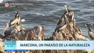 Marcona: Un paraíso de la naturaleza