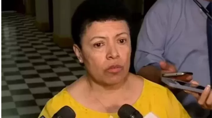 Congresista por Fuerza Popular criticó a la CIDH al calificarla de no escuchar a países como el Perú / Fuente: Canal N