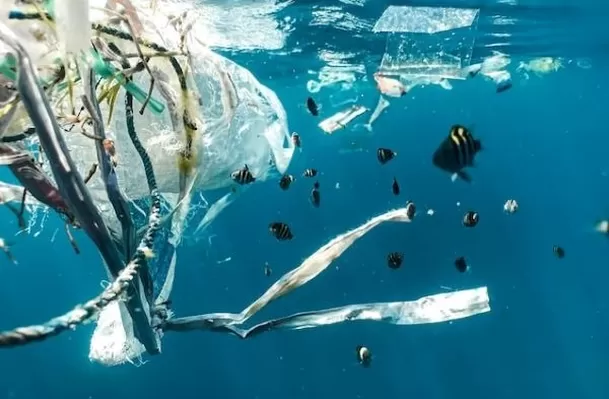 Países toman medidas para salvar los océanos. Foto: Andina