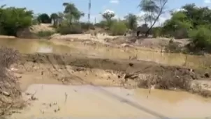 Sembríos afectados por lluvias / Foto: Canal N