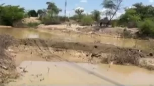 Sembríos afectados por lluvias / Foto: Canal N