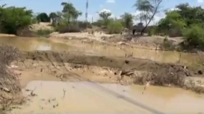 Sembríos afectados por lluvias / Foto: Canal N Sembríos afectados por lluvias / Foto: Canal N
