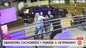 Médico agrede a veterinario en Surco tras abandonar a cachorros. Foto y video: América Noticias