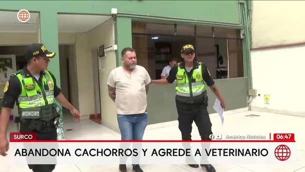 Médico agrede a veterinario en Surco tras abandonar a cachorros. Foto: América Noticias