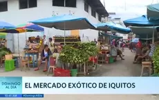 El mercado exótico de Iquitos - Noticias de iquitos