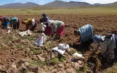 Bono por sequía se entregará a productos agrarios de 407 distritos afectados - Noticias de susel-paredes