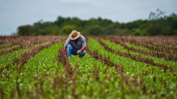 Productores agrarios.