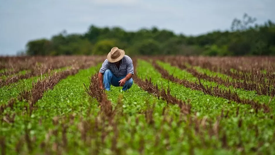 Productores agrarios.