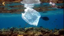 Bolsas de plástico ponen en peligro la vida de miles de animales. Foto: EFE