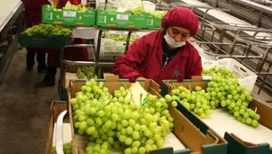 La venta de frutas fue de 1 174 millones de dólares. Foto: Andina 