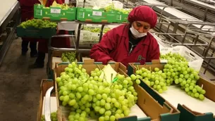 La venta de frutas fue de 1 174 millones de dólares. Foto: Andina 