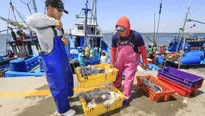 Pesca de Pota. Foto: Ministerio de la Producción