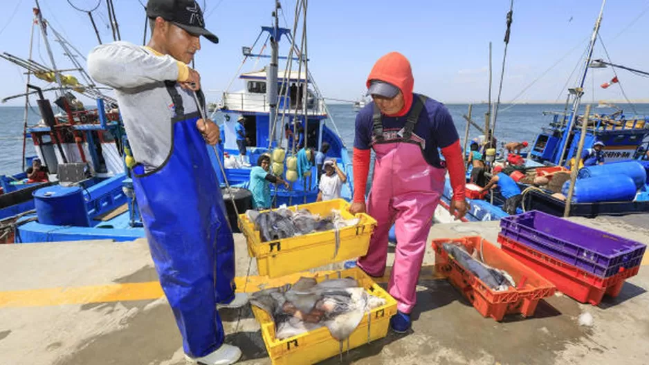 Pesca de Pota. Foto: Ministerio de la Producción