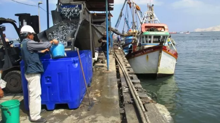 A través de Siforpa más embarcaciones de pesca artesanal pueden formalizarse. Foto: Referencial/Agencia Andina A través de Siforpa más embarcaciones de pesca artesanal pueden formalizarse. Foto: Referencial/Agencia Andina