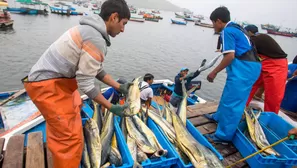 Pesca de bonito. Foto: Produce