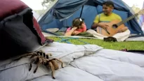 Al viajar al interior del país, es importante planificar y saber a dónde acudir en caso de emergencia. / Video: Canal N