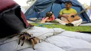 Al viajar al interior del país, es importante planificar y saber a dónde acudir en caso de emergencia. / Video: Canal N