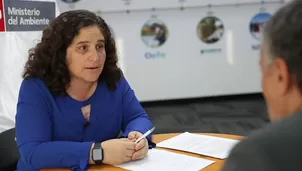 MInistra del Ambiente se refirió a la ley de plásticos. Foto: Andina